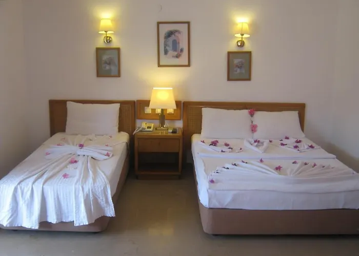 호텔 Oylum Park 3*